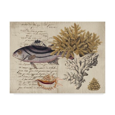 Trademark Fine Art Vision Studio 'Sea Life Journal Iii' Canvas Art, 35x47 WAG04768-C3547GG